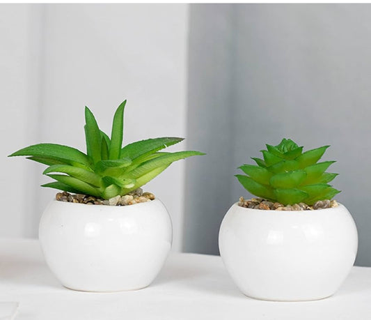 Planta Artificial de Oficina